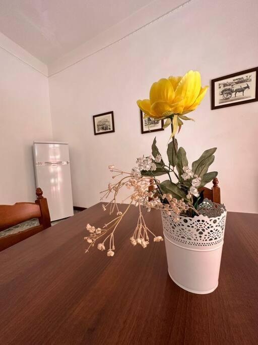 Passiu House Apartman Palermo Kültér fotó
